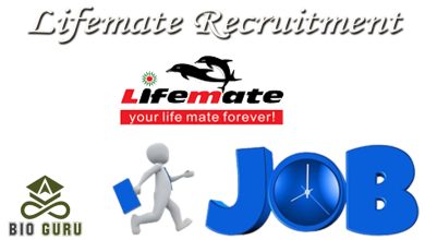 Lifemate Recruitment