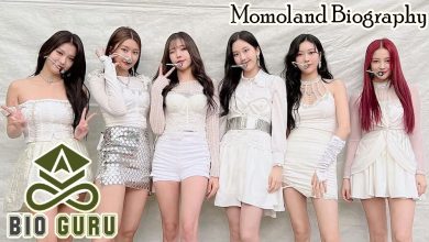 Momoland Biography