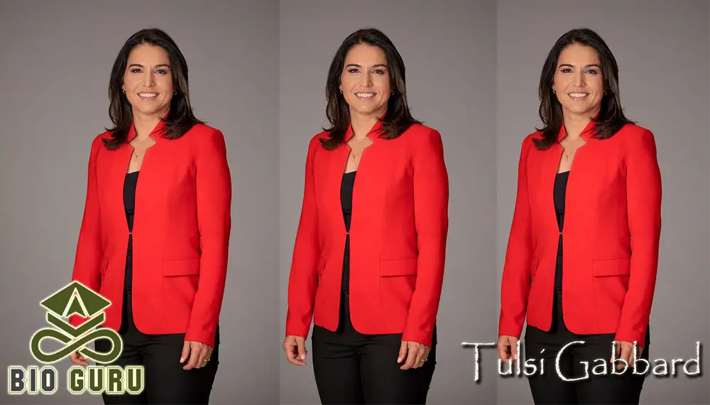 tulsi gabbard 