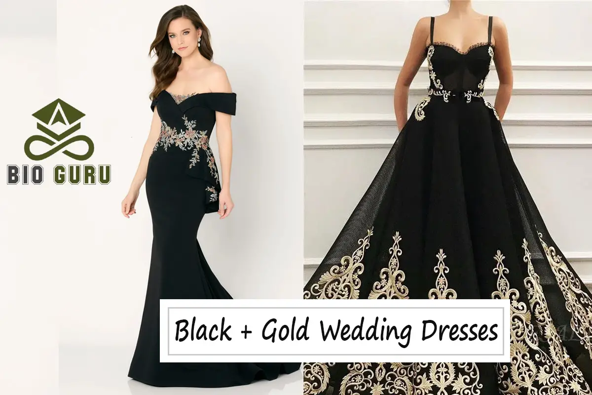 Chic Black and Gold Wedding Dresses