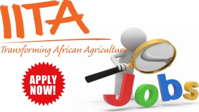 IITA Recruitment